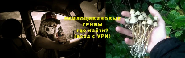 прущая мука Заволжск