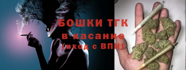 гидра Новозыбков
