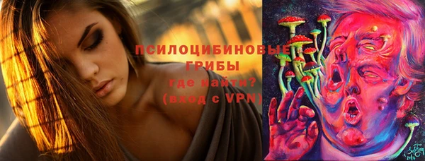 тгк Нея